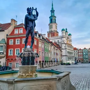 Apolla 34 Poznan